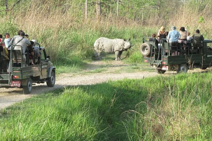 Private Jeep Safari - Canoeing - Jungle Walk in Chitwan