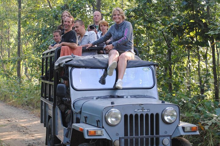 Half Day Sharing Jeep Safari in Chitwan National Park