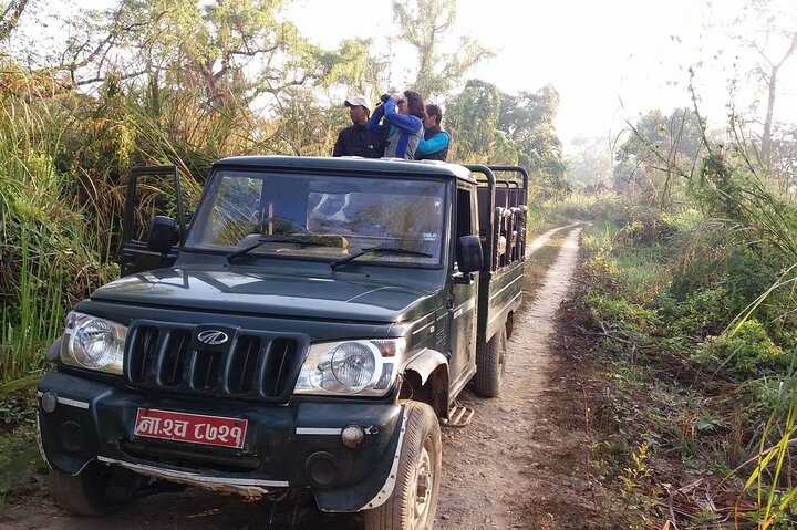 Half Day Sharing Jeep Safari in Chitwan National Park