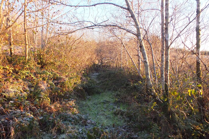 Private Thinking Trails at West Cork