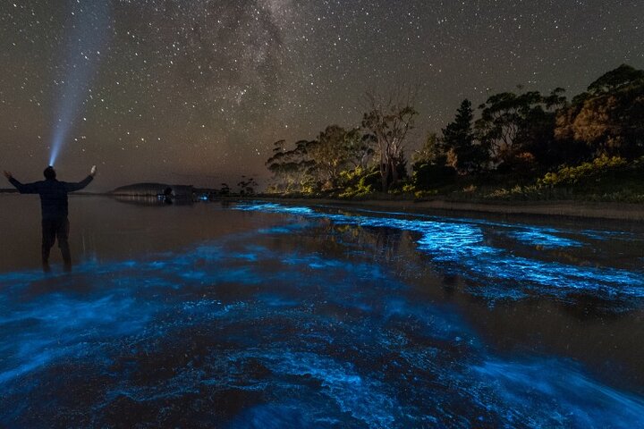 Florida Bioluminescent Kayak & Paddle Board Adventure