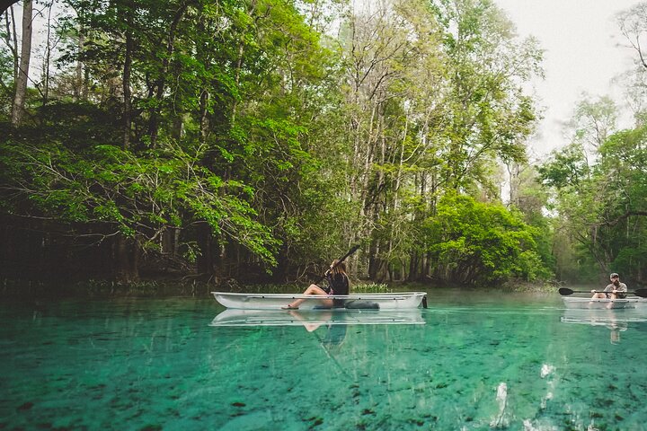 2 Hour Glass Bottom Guided Kayak Eco Tour in Gilchrist Blue