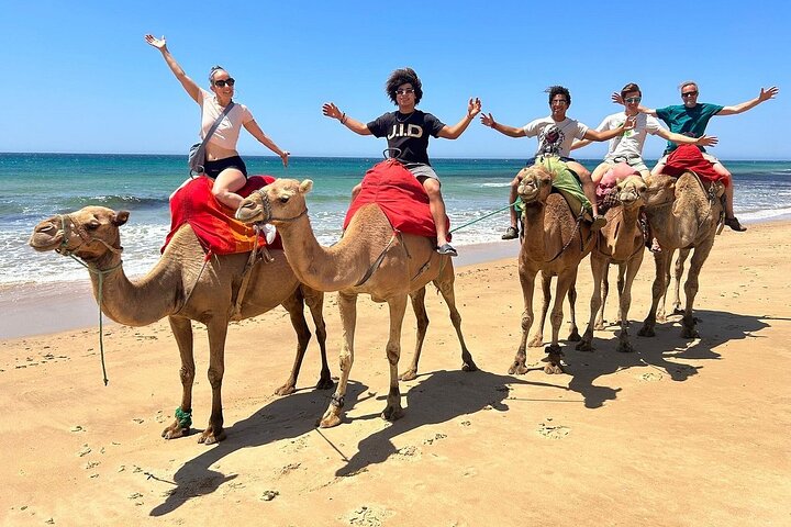 Tangier: 4-Hour Shore Excursion for Cruise Passengers