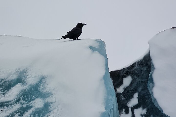 Glacier Hike from Skaftafell - Extra Small Group