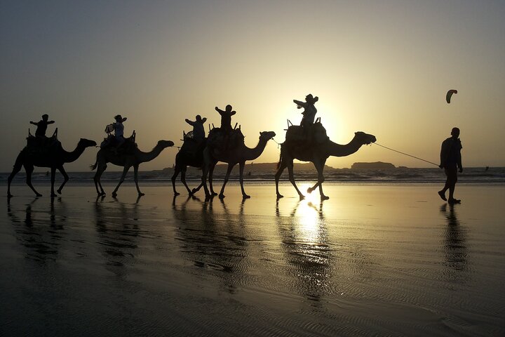 3 hours ride on camel at sunset