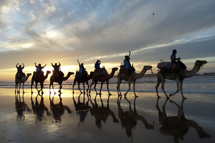 3 hours ride on camel at sunset