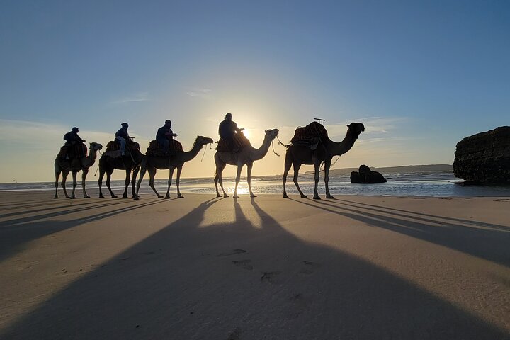 3 hours ride on camel at sunset