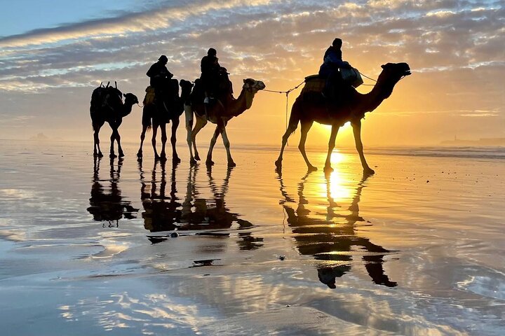 3 hours ride on camel at sunset