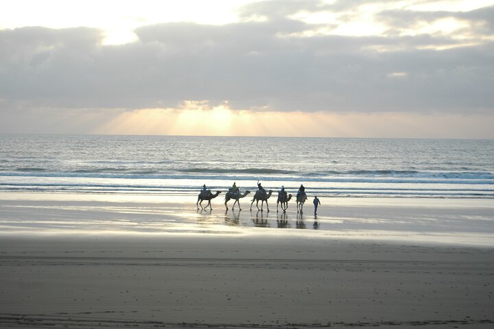 3 hours ride on camel at sunset