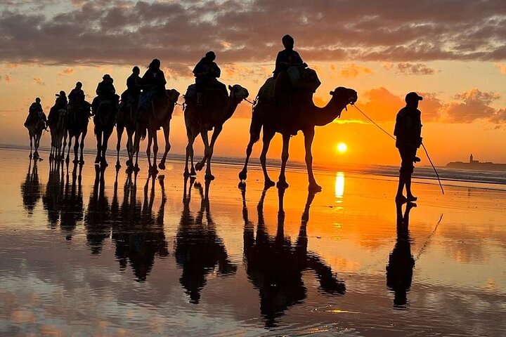 3 hours ride on camel at sunset