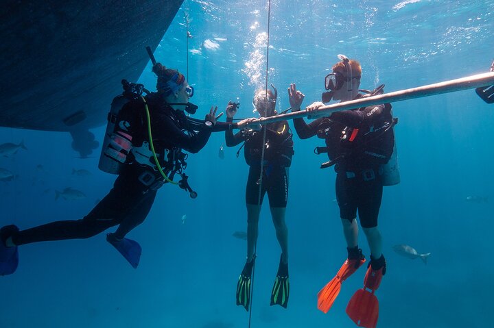 Great Barrier Reef Full Day Tour from Cairns