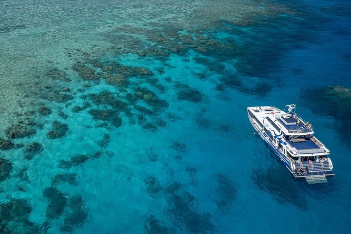 Great Barrier Reef Full Day Tour from Cairns