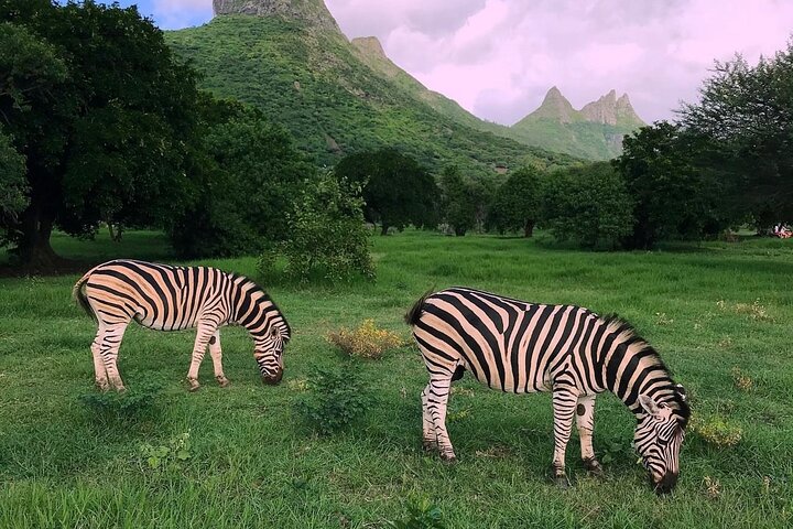 South Discovery With Wild Life Safari at Casela Park with Lunch