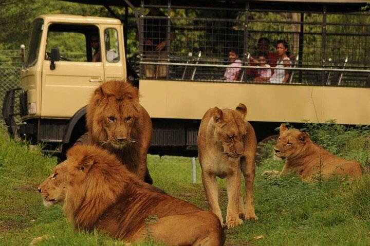 South Discovery With Wild Life Safari at Casela Park with Lunch