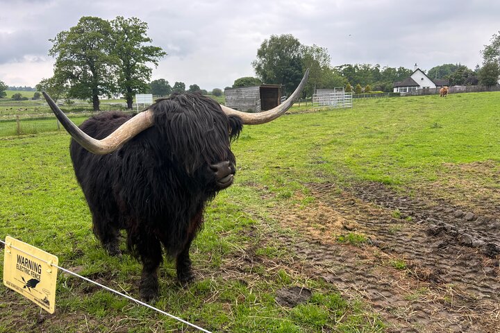 Private Outlander Tour From Invergordon or Inverness