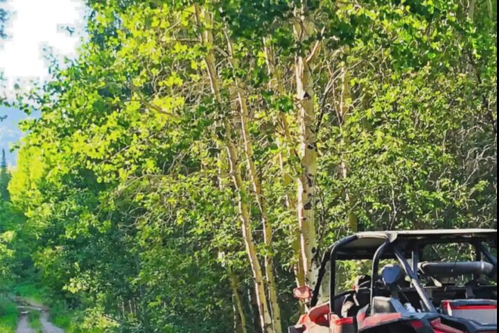 UTV Tour of Big Springs, Flats, and Sawtell Peak