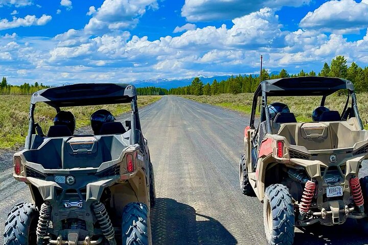 UTV Tour of Big Springs, Flats, and Sawtell Peak