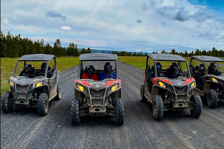 UTV Tour of Big Springs, Flats, and Sawtell Peak