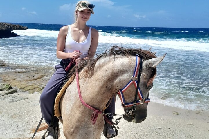 Aruba Ecological & Coastline Horseback Ride with Beach Photo Stop