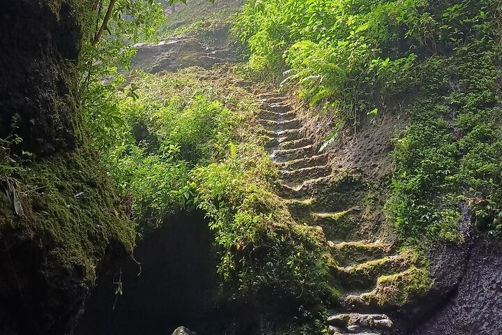 Jakarta Bogor Botanical Garden, Waterfall and Rice terrace, Lunch