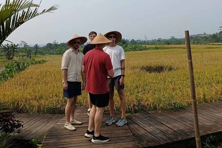 Jakarta Bogor Botanical Garden, Waterfall and Rice terrace, Lunch