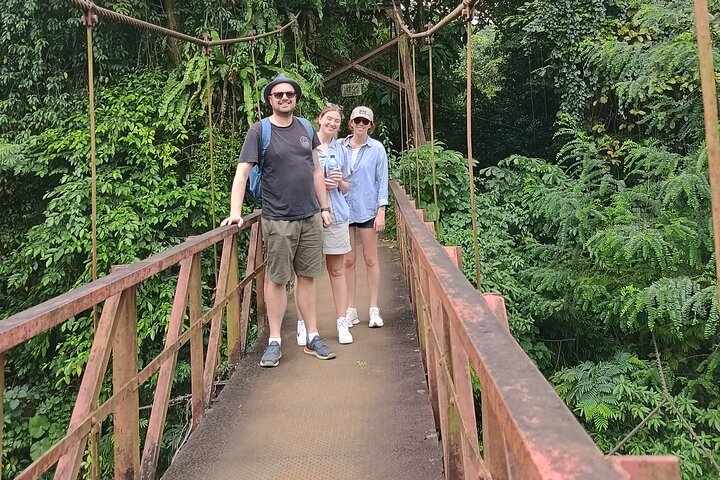 Jakarta Bogor Botanical Garden, Waterfall and Rice terrace, Lunch