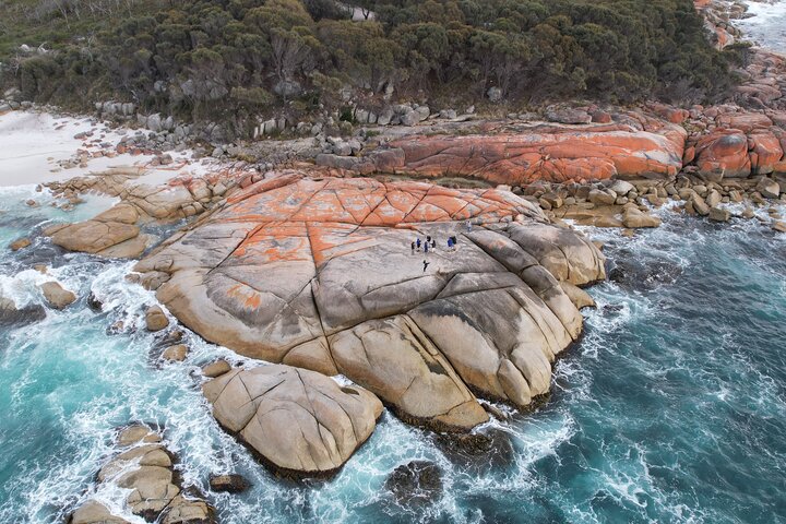 5-Day Best of Tasmania Tour from Hobart