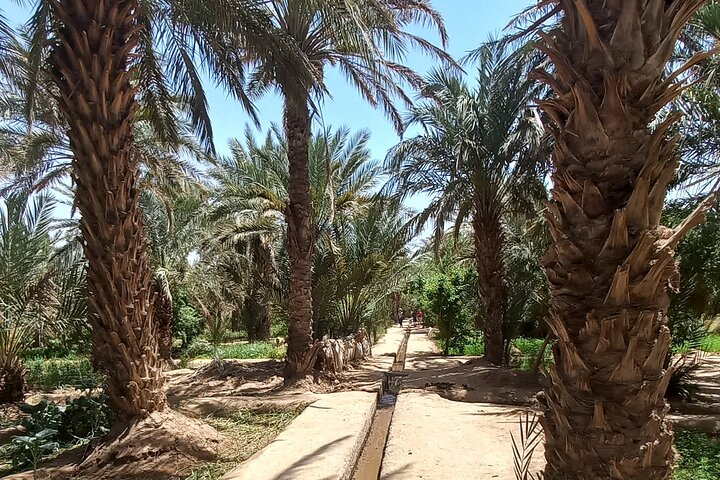 Private Day Trip From Erfoud To Merzouga Desert With Lunch