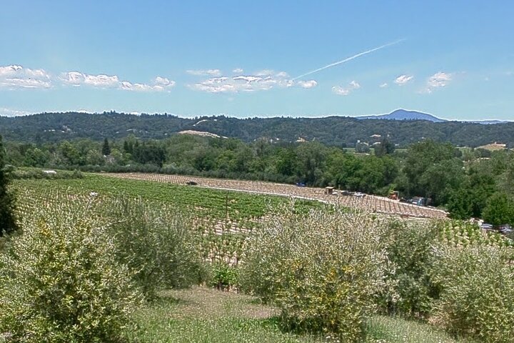 Full Day Guided Electric Bike Wine Tasting Tour with Lunch
