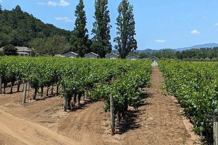 Full Day Guided Electric Bike Wine Tasting Tour with Lunch