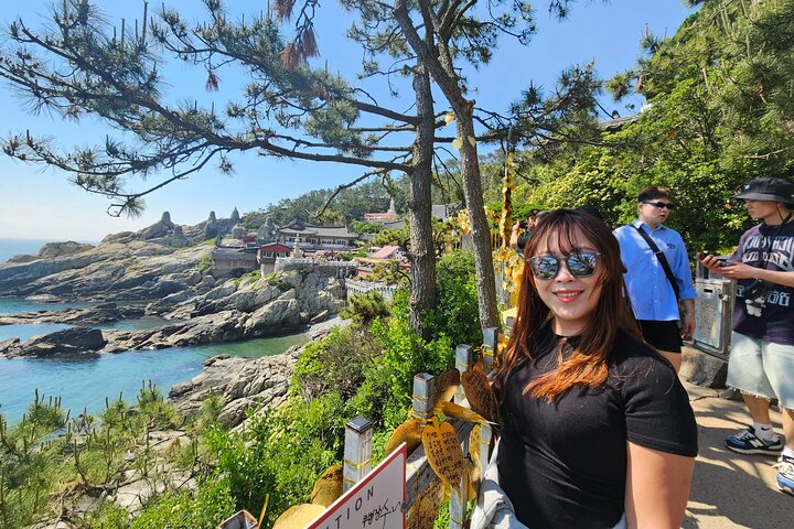 Private Busan Tour - Explore Landmarks with a Licensed Guide