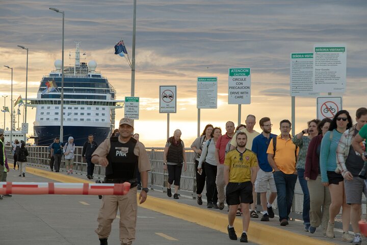 Shore Excursion Peninsula Valdes cruise passengers Puerto Madryn