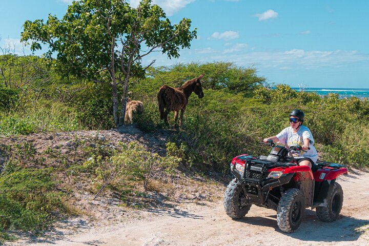 Lets Ride Adventures ATV Tour in Grand Turk