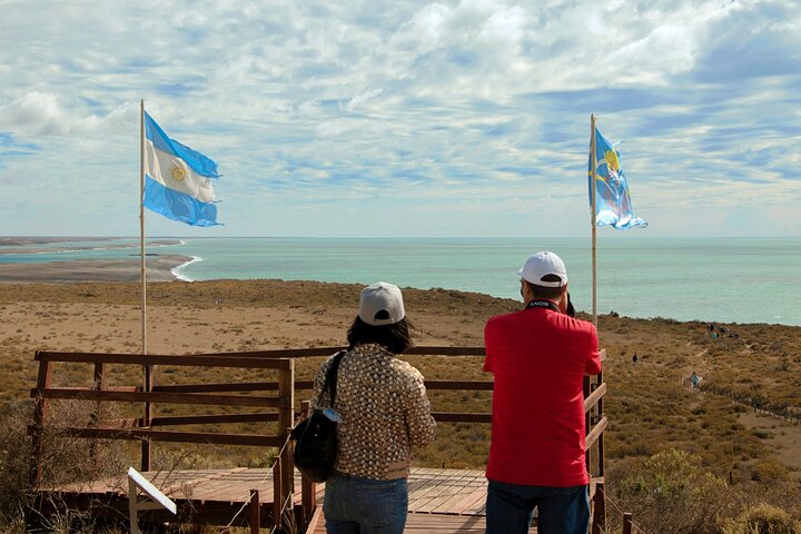 Shore Excursion Peninsula Valdes cruise passengers Puerto Madryn