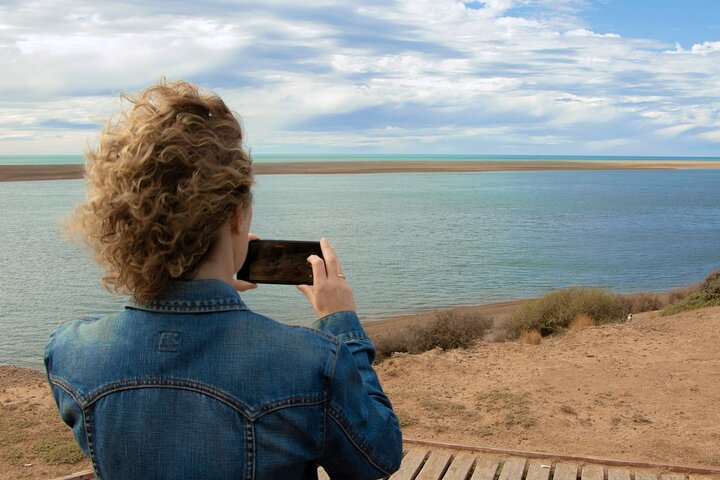 Shore Excursion Peninsula Valdes cruise passengers Puerto Madryn