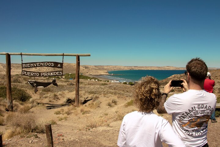 Shore Excursion Peninsula Valdes cruise passengers Puerto Madryn
