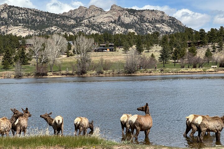 Retractable Glass Top Tour in Rocky Mountain National Park