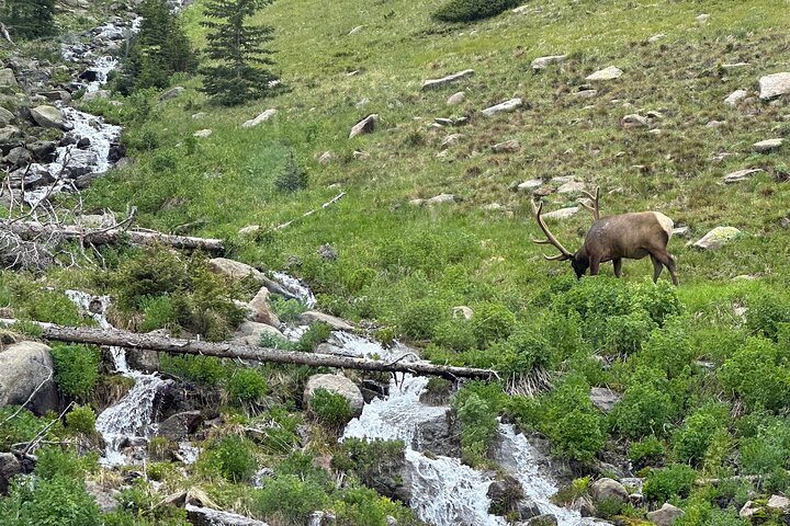 Retractable Glass Top Tour in Rocky Mountain National Park