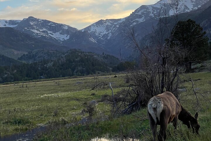 Retractable Glass Top Tour in Rocky Mountain National Park
