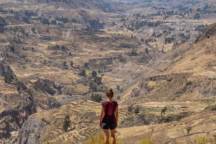 2 Days Colca Canyon Tour with Transfer to Puno