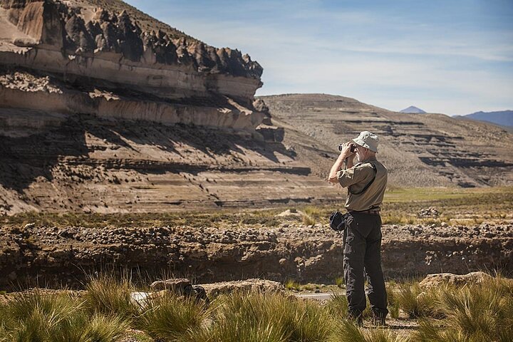 2 Days Colca Canyon Tour with Transfer to Puno