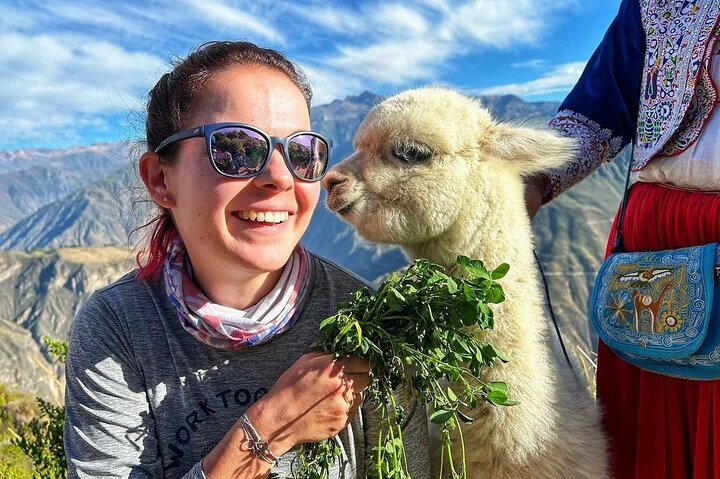 2 Days Colca Canyon Tour with Transfer to Puno