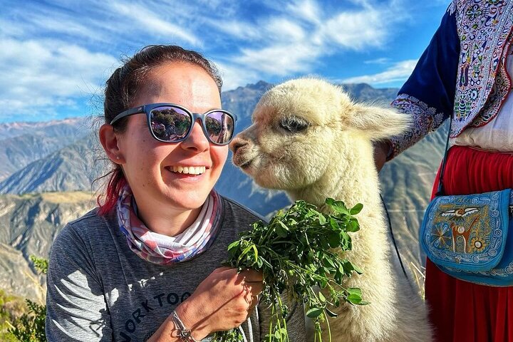 Turist Bus Colca Canyon (Chivay) To Puno