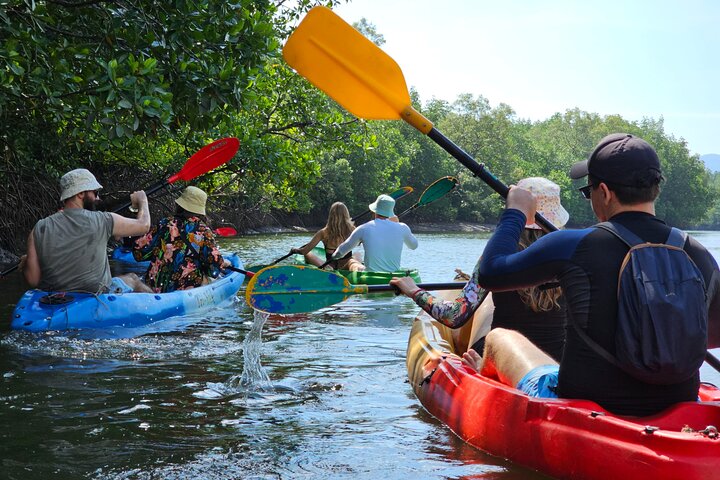 Half day Mangrove by Kayaking or Longtail boat from Koh Lanta