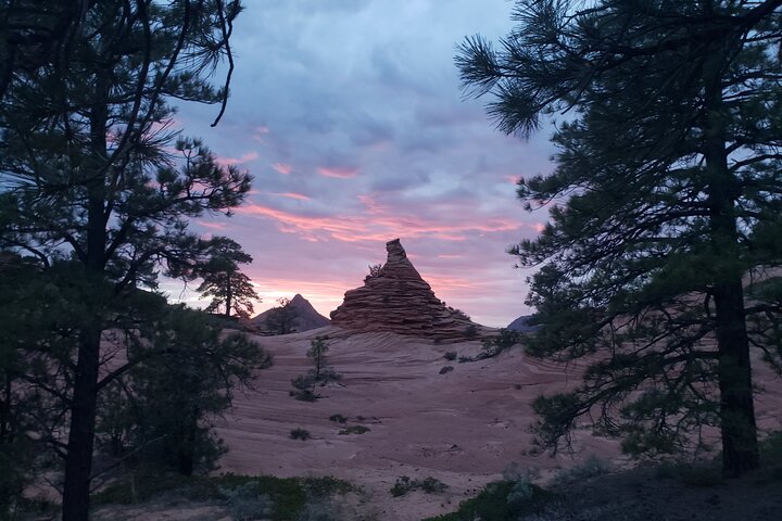Zion National Park/Kolob Terrace Private 1/2 Day Sightseeing Tour
