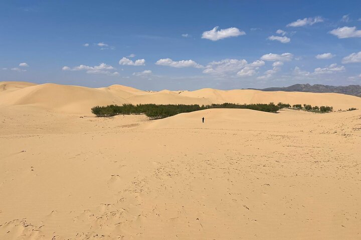 Semi Gobi / Kharkorum overnight trip (nomadic family stay)