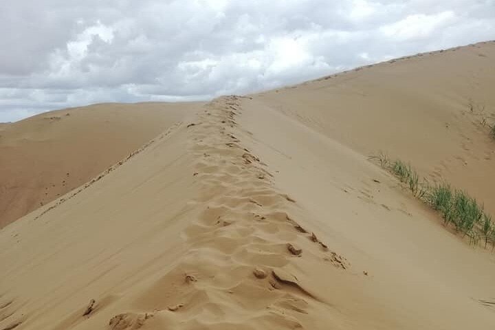 Semi Gobi / Kharkorum overnight trip (nomadic family stay)