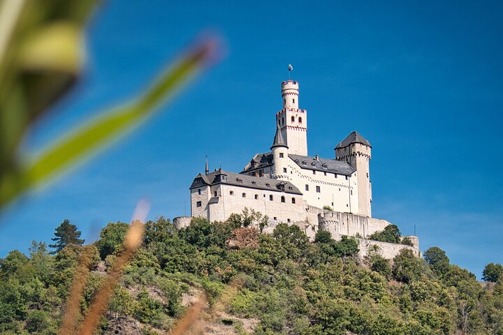 2 hours sightseeing cruise around Koblenz