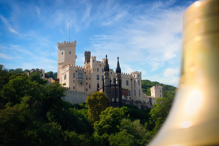 2 hours sightseeing cruise around Koblenz