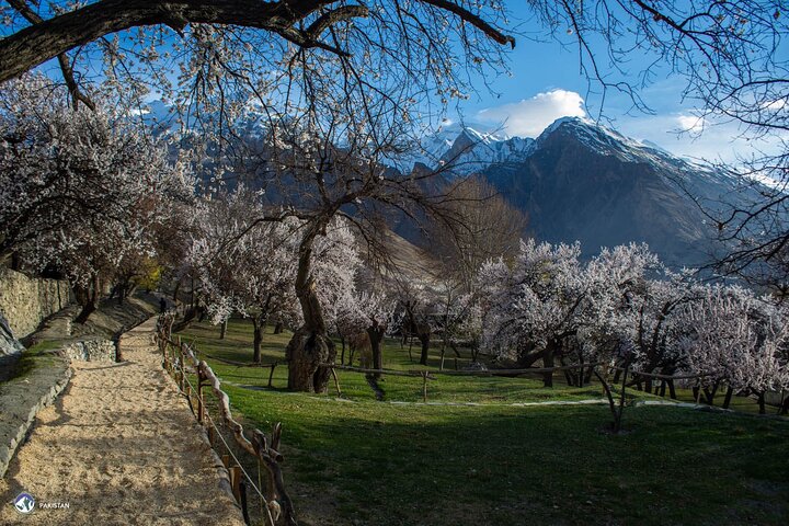 Experience Ultimate Hunza